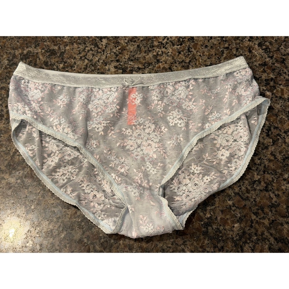 Splendies Womens 1X Light Blue Floral Lace Brief Panties Shimmer Waistband NWOT